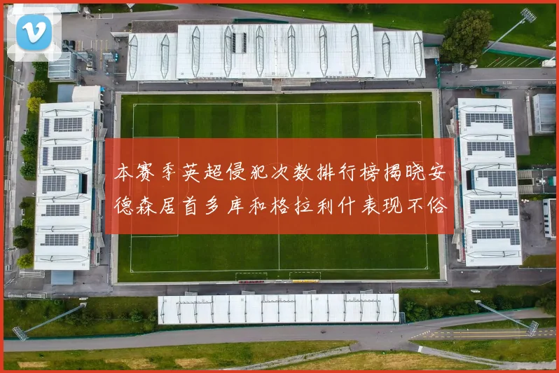 本赛季英超侵犯次数排行榜揭晓安德森居首多库和格拉利什表现不俗
